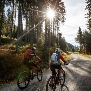 Zwei Mountainbiker fahren auf einem Waldweg, die Sonne scheint durch die Baumwipfel.